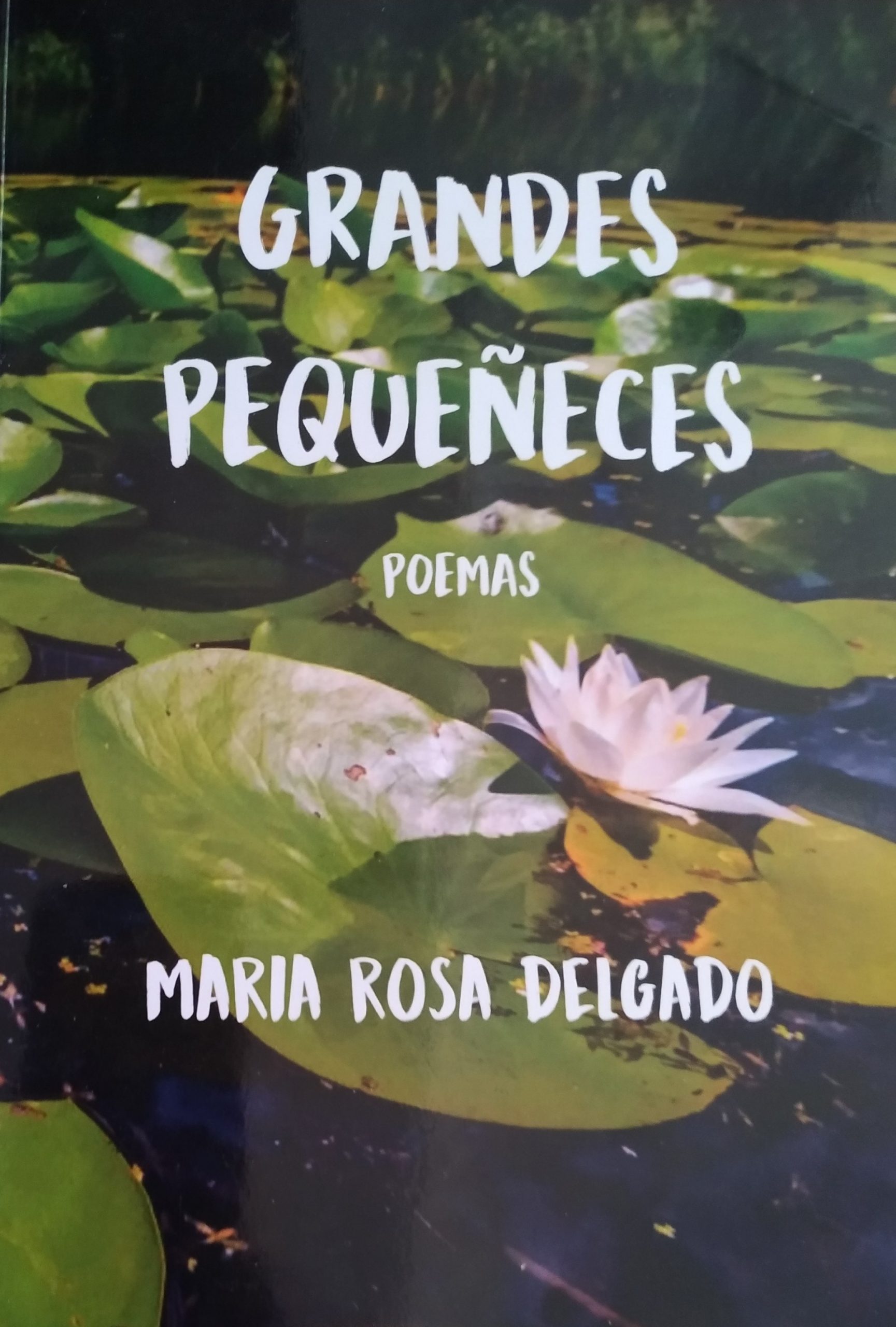 Libro Maria Rosa Delgado Castro